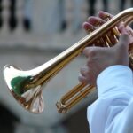 trumpet player, trumpet, musician, blowers, music, concert, brass, cute, shine, brass instrument, horn, trumpet, trumpet, trumpet, trumpet, trumpet