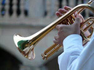 trumpet player, trumpet, musician, blowers, music, concert, brass, cute, shine, brass instrument, horn, trumpet, trumpet, trumpet, trumpet, trumpet